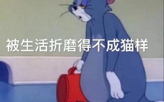 进行适当运动文案沙雕，适当运动的句子