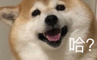 快乐玩耍沙雕文案，快乐玩耍沙雕文案短句