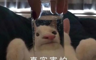 医护文案 沙雕搞笑，医护文案 沙雕搞笑图片
