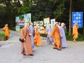 明孝陵正确游玩攻略，明孝陵游玩攻略