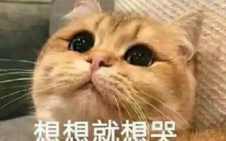 关于巧克力沙雕文案，关于巧克力沙雕文案短句