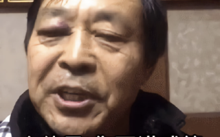 芋头恶搞视频大全，芋头恶搞视频大全下载